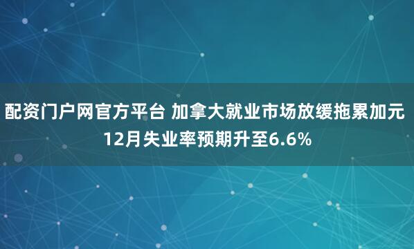 配资门户网官方平台 加拿大就业市场放缓拖累加元 12月失业率预期升至6.6%
